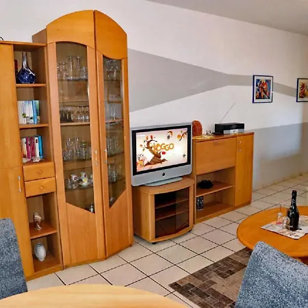 Oasis 01 קושהאבן